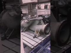 Industriële dubbele zuigcentrifuge pomp Horizontaal roestvrij staal