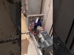 100L/min industriële Elektrische Chemische de Verwerkingspompen van de Diafragmapomp