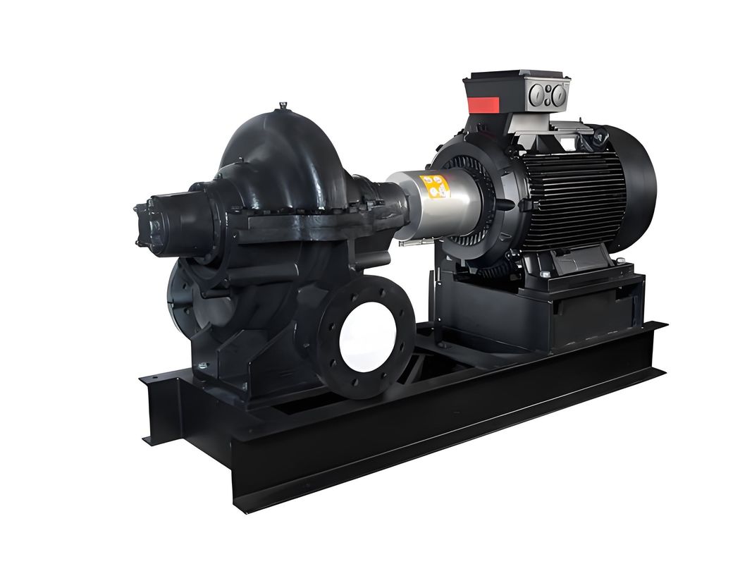 HT Equivalent aan Grundfos LS Horizontale Split Case Pump; Eensaagse of dubbelstaagse pomp van roestvrij staal