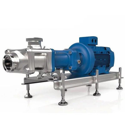De sanitaire Pomp van de de Verbindings Hygiënische Schroef van de Schroefpomp Mechanische met VFD-Frequentieomschakelaar